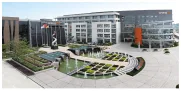 Growth & New Product Lines